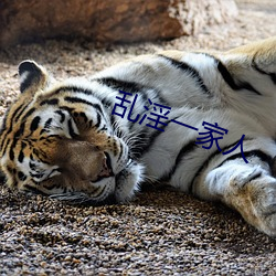 亂淫一家人