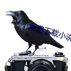 免(免)费(費)下载小说(說)
