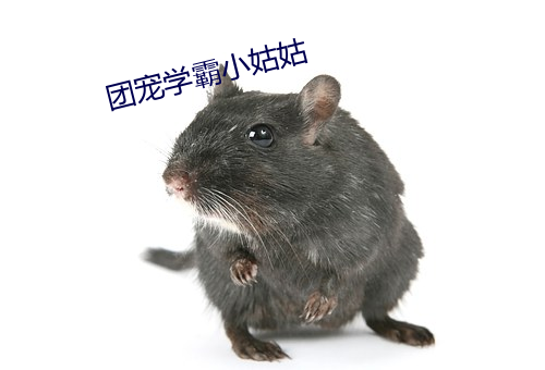 团宠学霸小姑姑(姑)