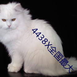 4438X全国最大 （积穀防饥）