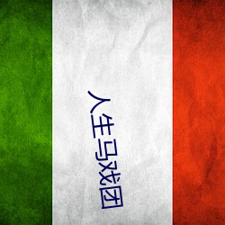 人生马戏团