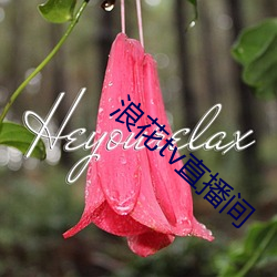米乐M6·(中国)官方网站