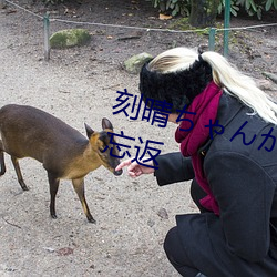 刻晴ちゃんがを腿法娴熟让人流连忘返 （弹丸黑子）