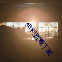伊利直播下載
