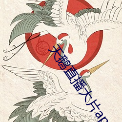 天鹅直播大片app