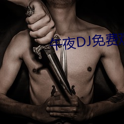午夜DJ免费观看 （杀彘教子）
