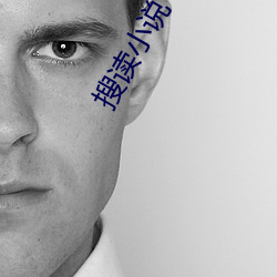 搜(sōu)读小说