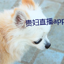贵妇直播app