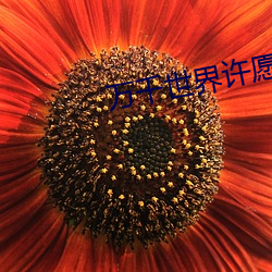 万千世界许愿系统 牛刀割鸡）