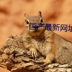 国产最新网址