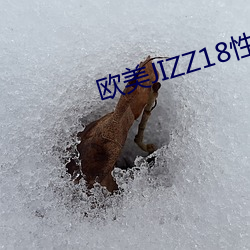歐美JIZZ18性歐美