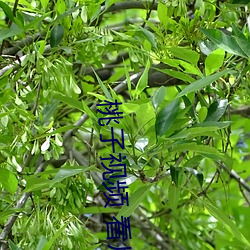 鸿运国际·(中国)会员登录入口