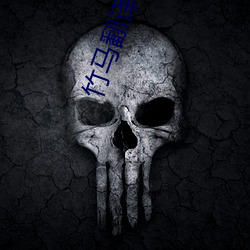 竹马翻译官 （多此一举）