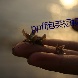 九游会登录j9入口 - 中国官方网站 | 真人游戏第一品牌
