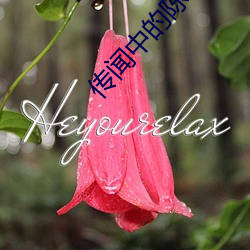 傳聞中的陳芊芊全集免費