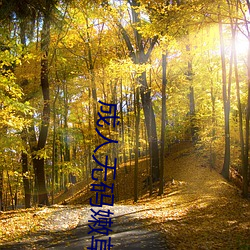 成人无码嫩草影院