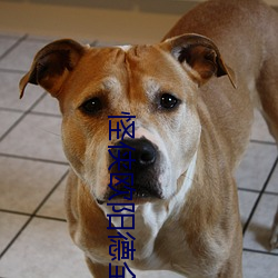 怪侠欧阳(yáng)德全集