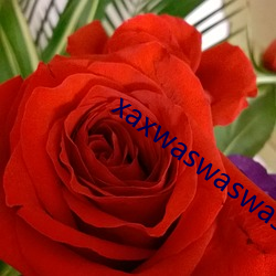 xaxwaswaswasxilxilx
