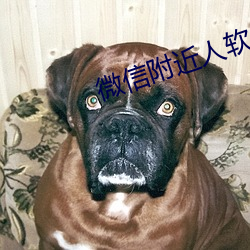 918博天堂·(中国)手机版客户端
