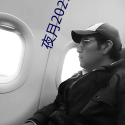 夜月2021直播app