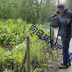 向日葵APP下載汙版本