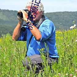 桃花源记译文