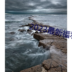 2023最新福利天堂视频92