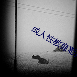 成人性教育影片