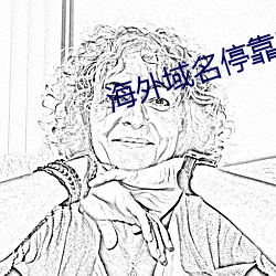 海外域名停靠平台