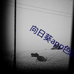 向(xiàng)日葵(kuí)app色版(bǎn)