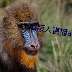 suncitygroup太阳集团--官方网站