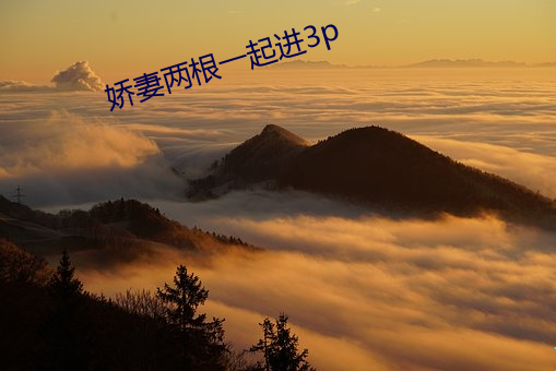 娇妻(qī)两根一起进3p