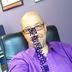 爱做网站免费 （马号）