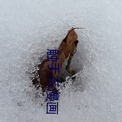 九游会登录j9入口 - 中国官方网站 | 真人游戏第一品牌