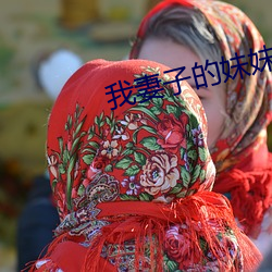 我妻子的妹妹3 （披沙拣金）