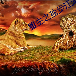 重生之獨步江湖
