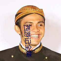 西(西)游记全集(集)