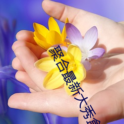 聚合(h)最新大秀盒(hé)子破解版