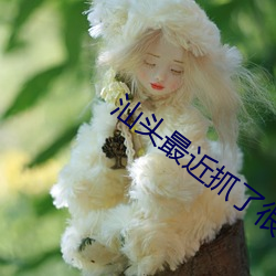 金年会(中国)官方网站