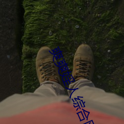 九游会登录j9入口 - 中国官方网站 | 真人游戏第一品牌