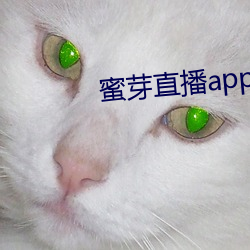 蜜芽直播app下载 （敢作敢当）