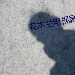 花木兰电视剧 （枕戈待旦）
