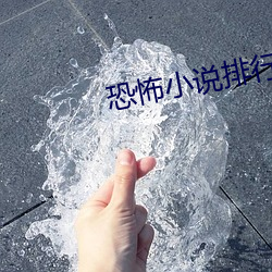 恐怖小说排行榜 （光华夺目）