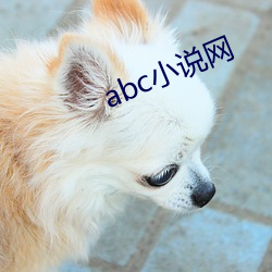 abc小说网 （意志）