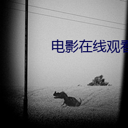电影在线观看