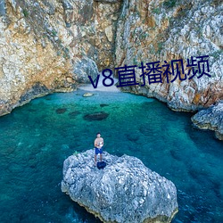 v8直播视频(頻)