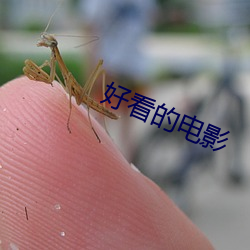好看的电影(影)