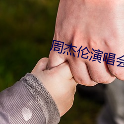 周杰伦演唱会高清