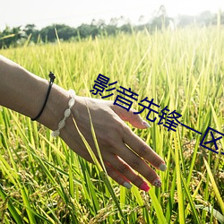 影音先锋(fēng)一区二区(qū)资源(yuán)站(zhàn)