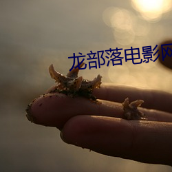 918博天堂·(中国)手机版客户端